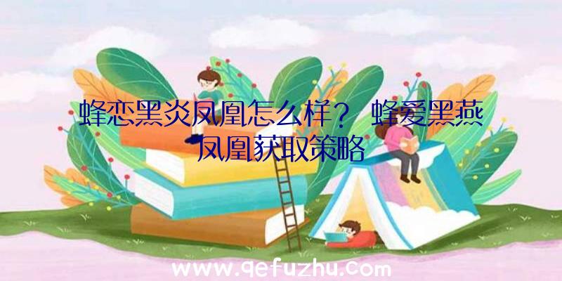 蜂恋黑炎凤凰怎么样？